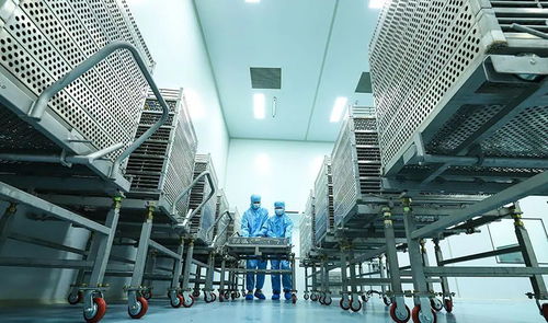 科技賦能植物工廠，張掖農(nóng)特產(chǎn)品提質(zhì)增效